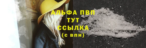 СК Сосновый Бор