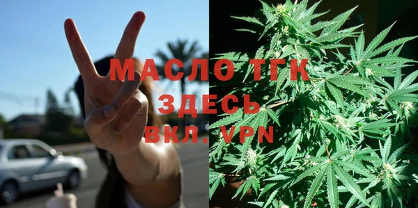 СК Сосновый Бор