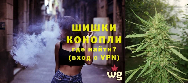 СК Сосновый Бор