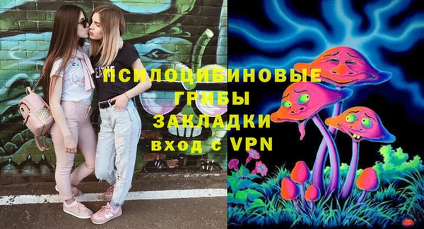 СК Сосновый Бор