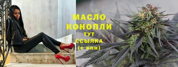 СК Сосновый Бор