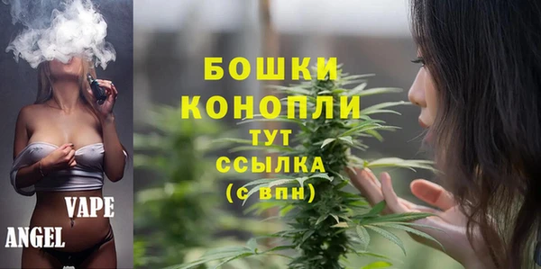 СК Сосновый Бор
