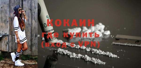 СК Сосновый Бор