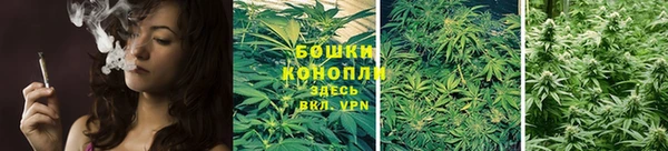 СК Сосновый Бор
