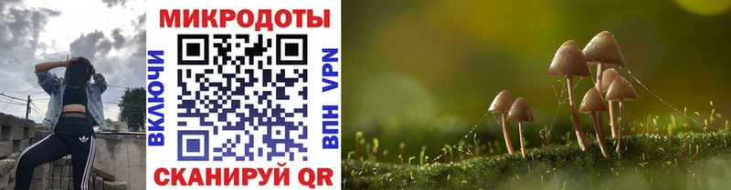 Псилоцибиновые грибы Psilocybe  где найти   Абакан 