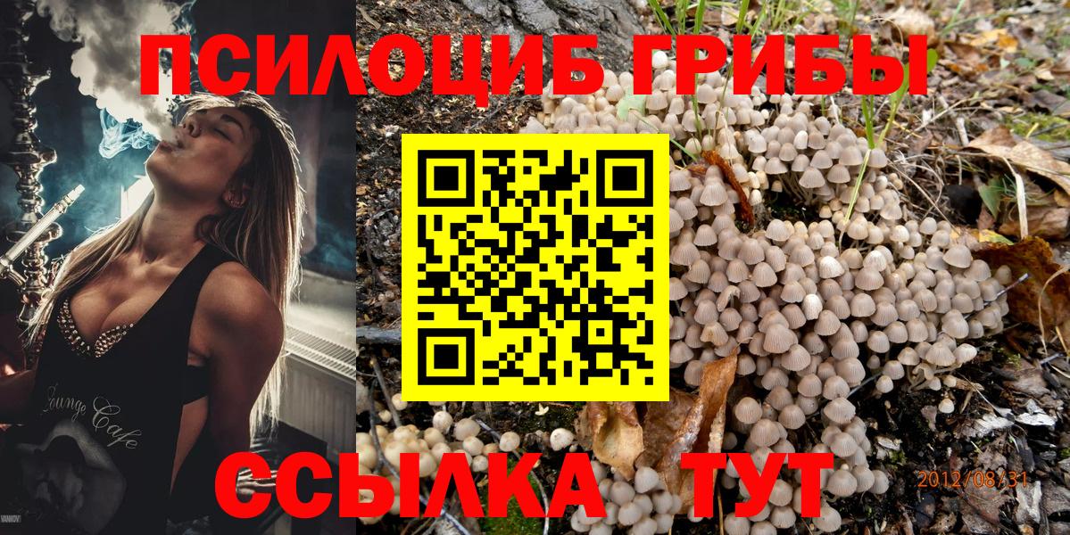 Псилоцибиновые грибы мицелий Абакан