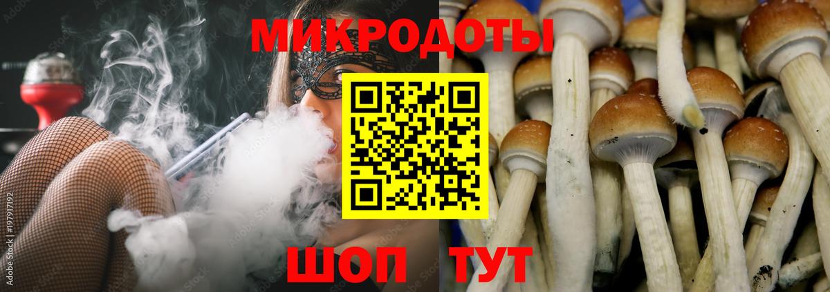 Псилоцибиновые грибы MAGIC MUSHROOMS  Абакан 