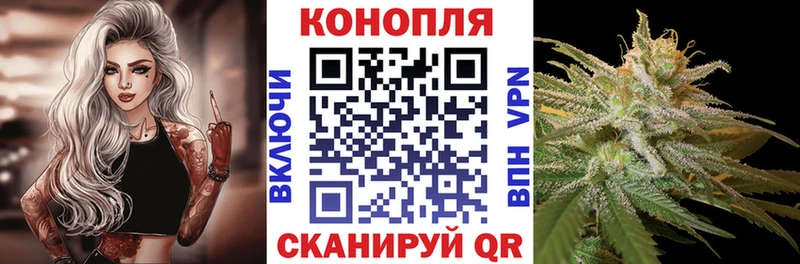 Конопля SATIVA & INDICA  Абакан 
